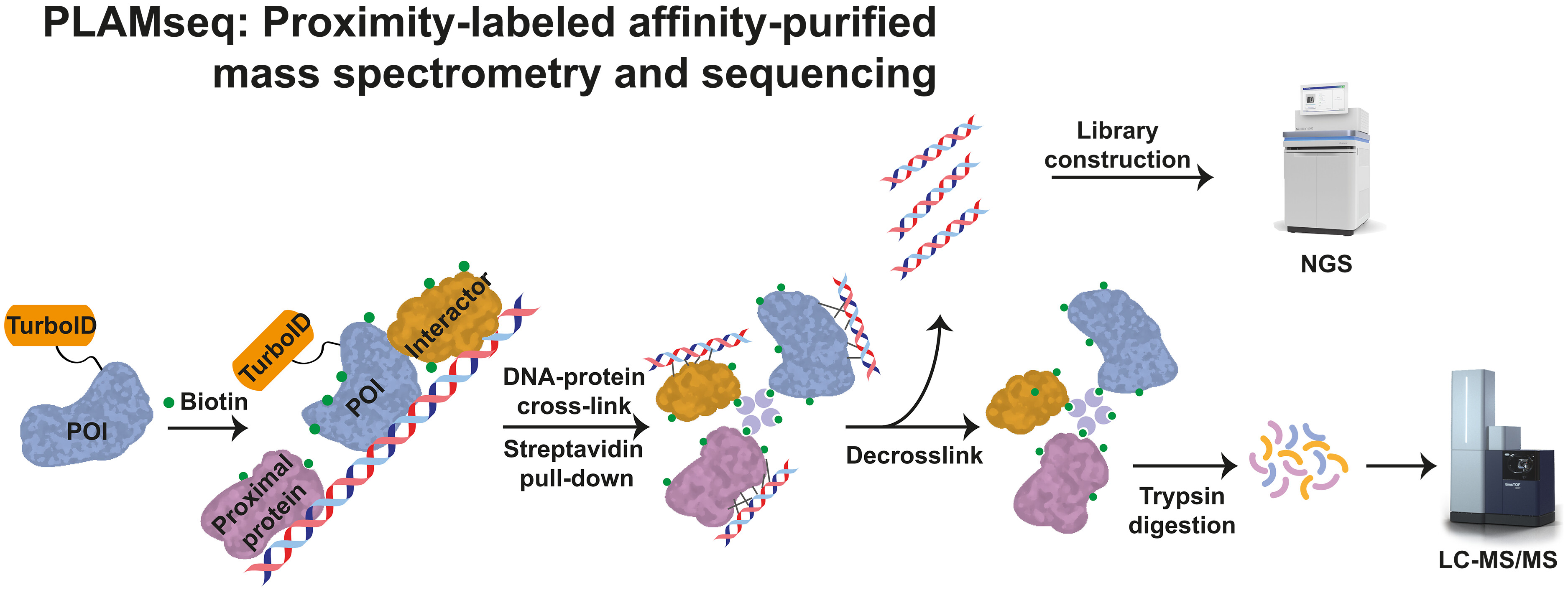 Adapted from González-Vinciero et al. 2025 Science Advances